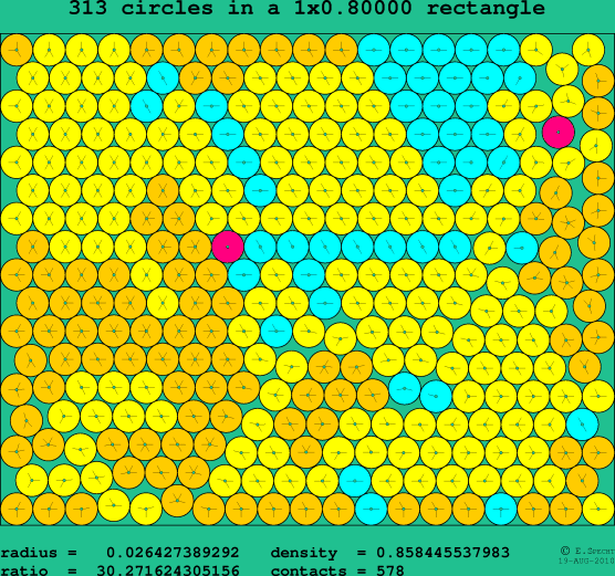 313 circles in a rectangle