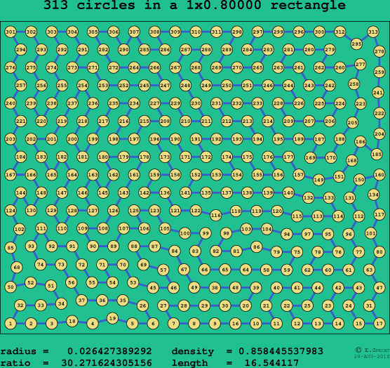 313 circles in a rectangle
