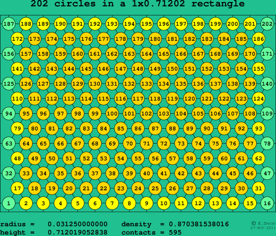 202 circles in a rectangle