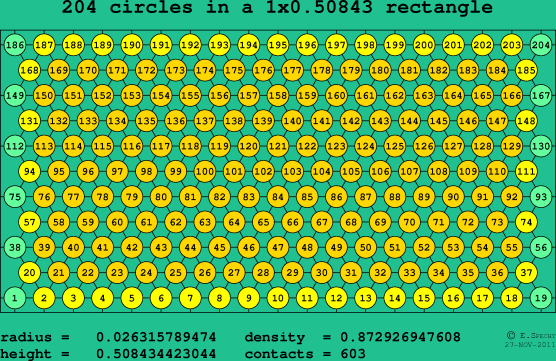 204 circles in a rectangle