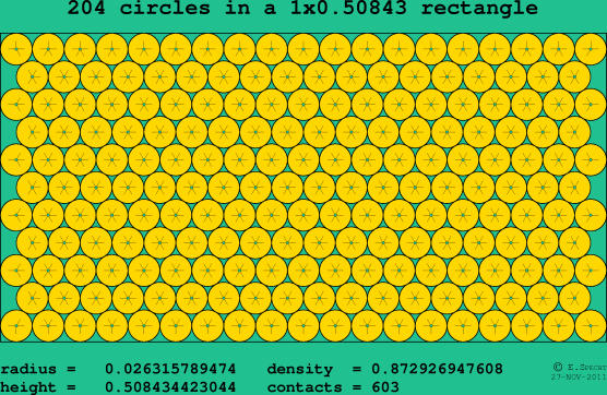 204 circles in a rectangle