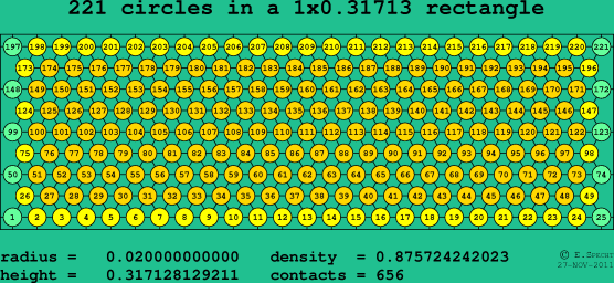 221 circles in a rectangle