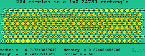 224 circles in a rectangle