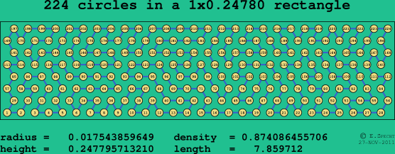 224 circles in a rectangle