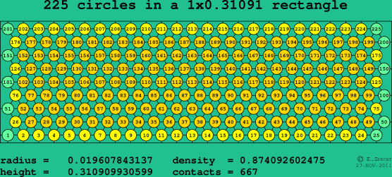 225 circles in a rectangle