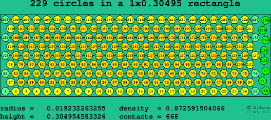 229 circles in a rectangle