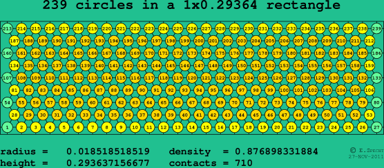 239 circles in a rectangle