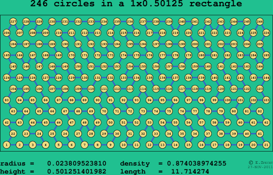 246 circles in a rectangle