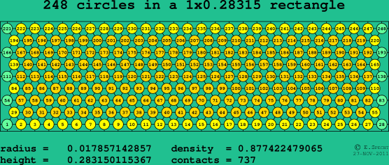 248 circles in a rectangle