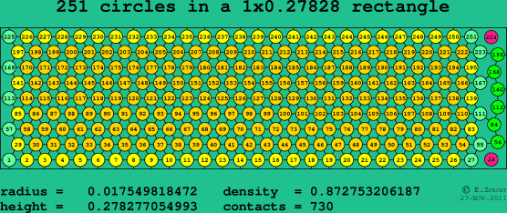 251 circles in a rectangle