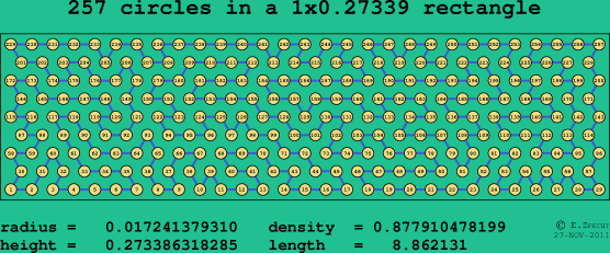 257 circles in a rectangle