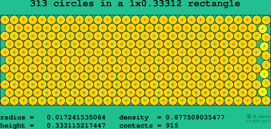 313 circles in a rectangle