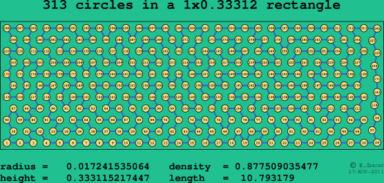 313 circles in a rectangle