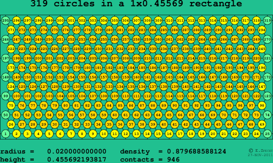 319 circles in a rectangle