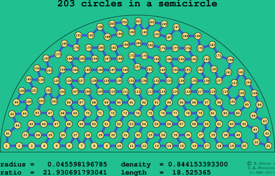 203 circles in a semicircle