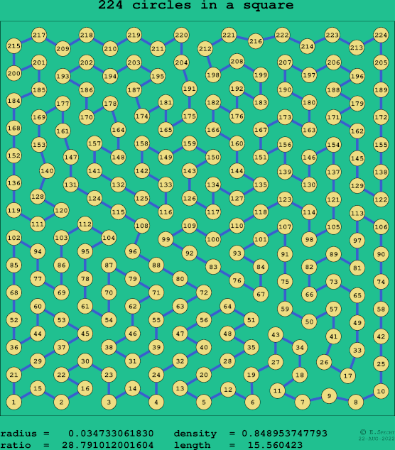 224 circles in a square