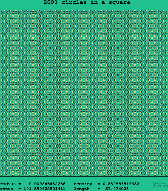 2891 circles in a square