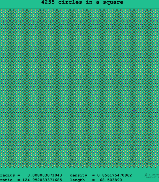 4255 circles in a square