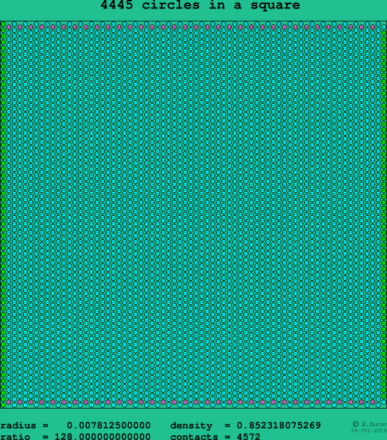 4445 circles in a square
