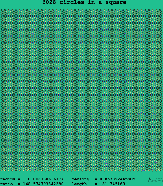 6028 circles in a square
