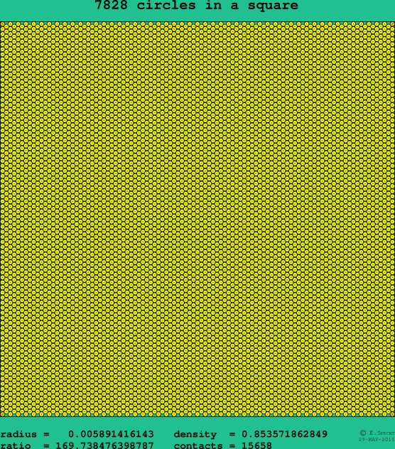 7828 circles in a square