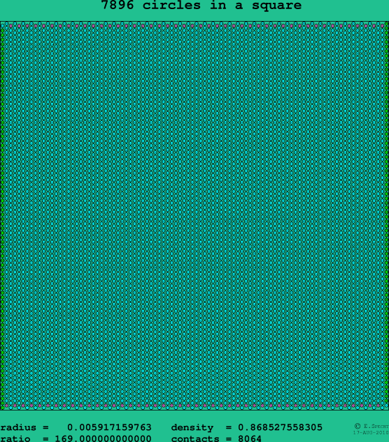 7896 circles in a square