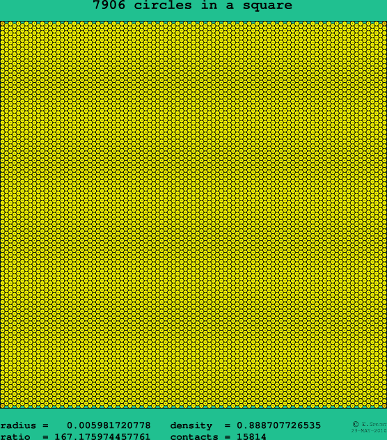 7906 circles in a square