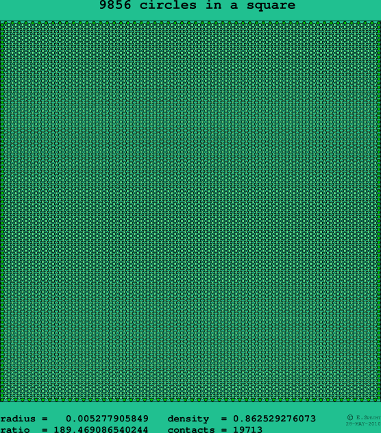 9856 circles in a square