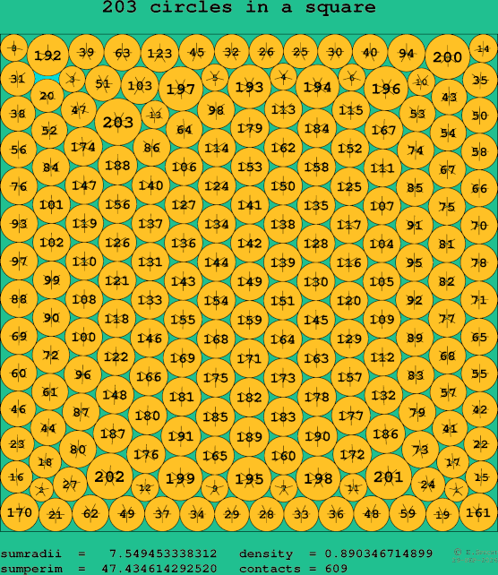 203 circles in a square