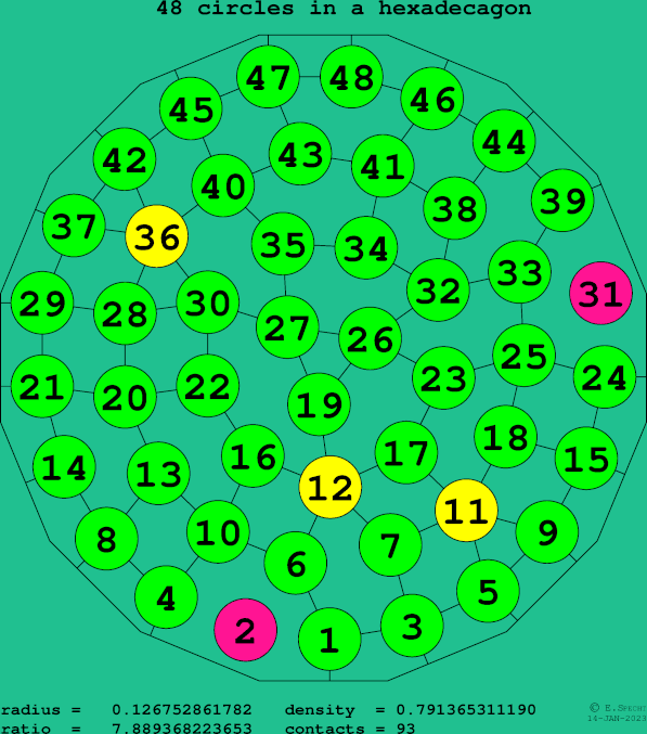 48 circles in a regular hexadecagon