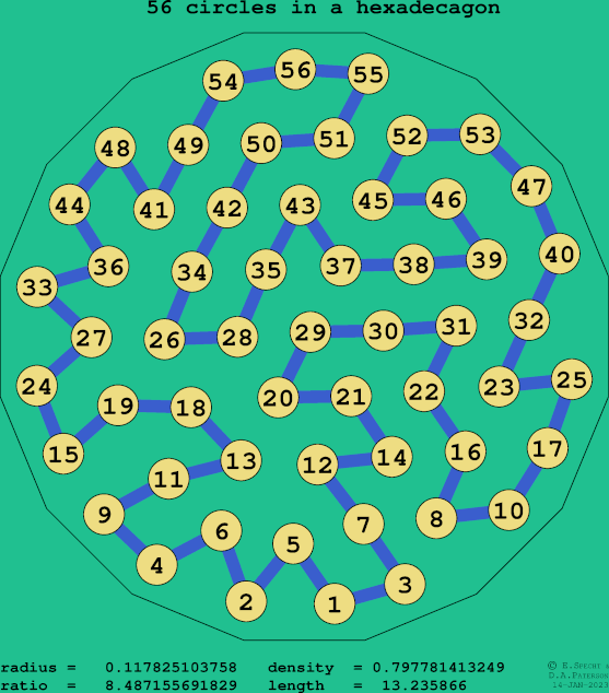 56 circles in a regular hexadecagon